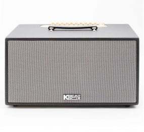 Loa Acnos NL446R