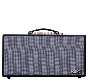 Loa Acnos NL4501