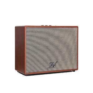 Loa Alpha Works Classic V100
