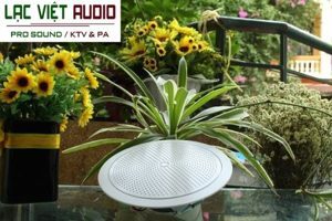 Loa âm trần DB TS-301