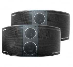 Loa Arirang S1010