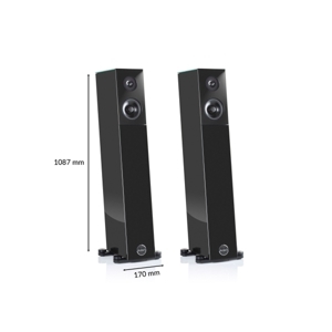 Loa Audio Physic Avanti