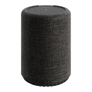 Loa Audio Pro G10