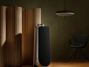 Loa  Bang & Olufsen Beolab 50