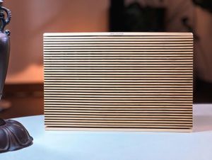 Loa Bang & Olufsen BeoSound Level