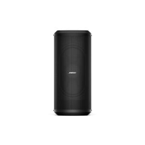 Loa Bass Bose Sub2
