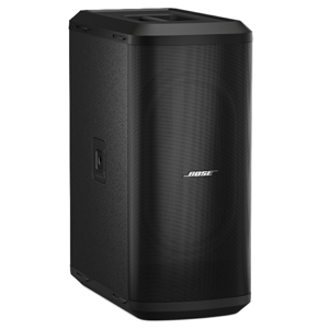 Loa Bass Bose Sub2