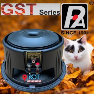 Loa bass P-Audio GST-12500