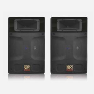 Loa BIK BP-S55