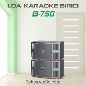 Loa BiRiCi B-750