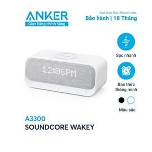 Loa bluetooth Anker SoundCore Wakey A3300