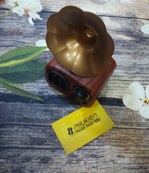 Loa bluetooth AS90