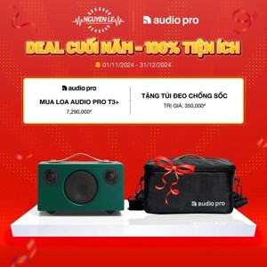 Loa Bluetooth Audio Pro T3