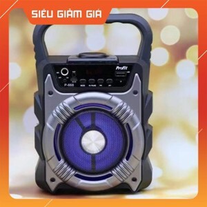 Loa bluetooth karaoke Profit P668