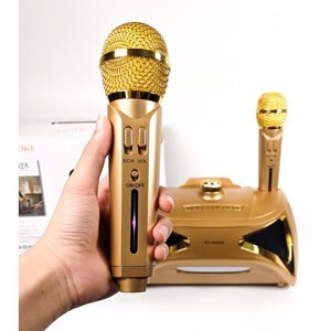 Loa bluetooth karaoke ST2025