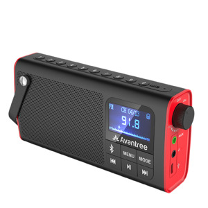 Loa bluetooth kiêm đài FM Avantree SP850