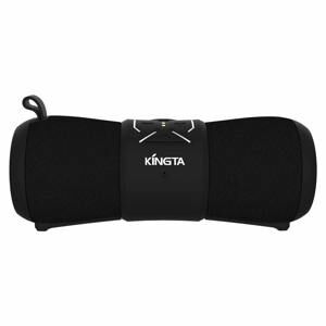 Loa Bluetooth Kingta F2