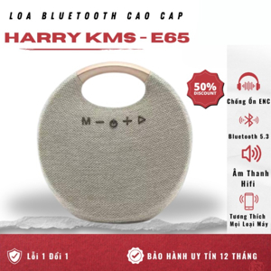 Loa Bluetooth KMS-E65