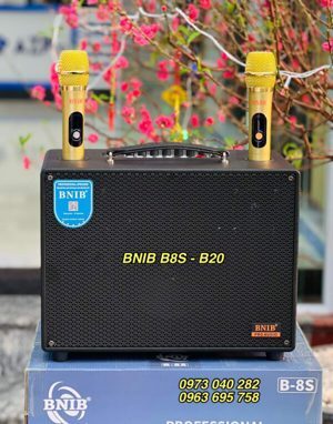 Loa bluetooth mini B8S