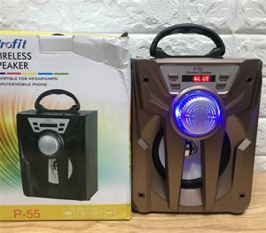 Loa Bluetooth P55