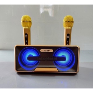 Loa bluetooth SDRD-301