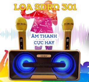 Loa bluetooth SDRD-301