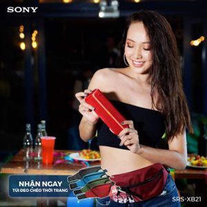 Loa Bluetooth Sony SRS-XB31