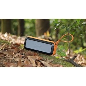 Loa bluetooth W-King S20