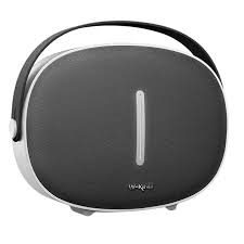 Loa bluetooth W-king T6