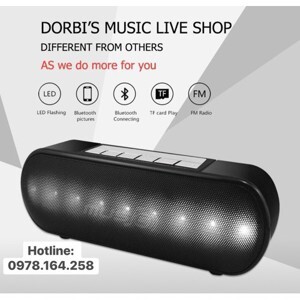 Loa Bluetooth WS-2513