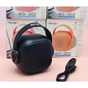 Loa Bluetooth WS-302