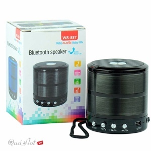 Loa Bluetooth WS 887