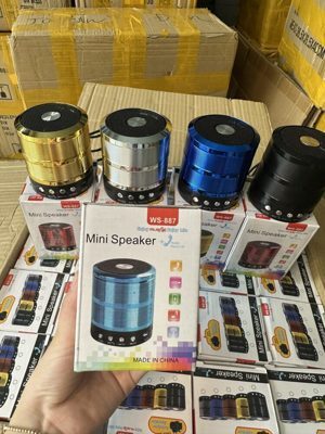 Loa Bluetooth WS 887