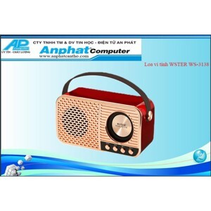 Loa bluetooth WSTER WS-3138