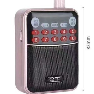 Loa bluetooth Y15