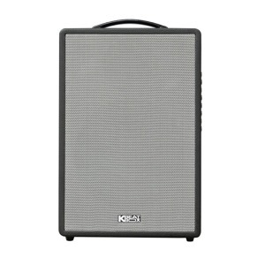 Loa BMB CS-251-V