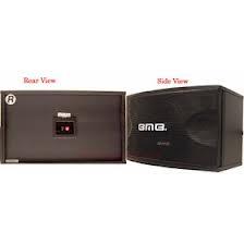 Loa BMB CS-450V MKII