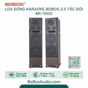 Loa Bobos BR-7000