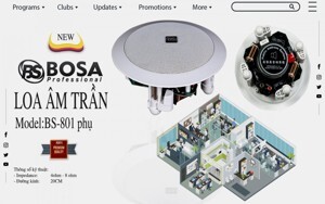 Loa Bosa BS801