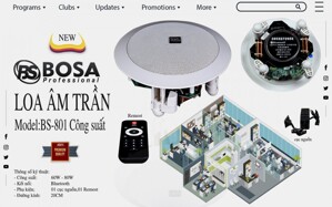 Loa Bosa BS801