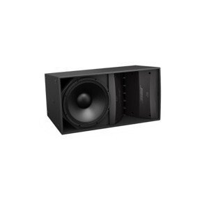 Loa Bose ARENAMATCH AM10