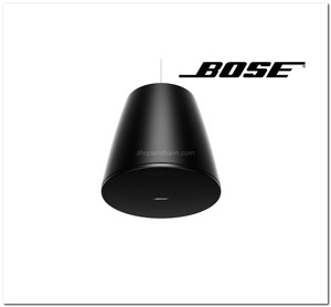 Loa Bose Designmax DM10P-SUB