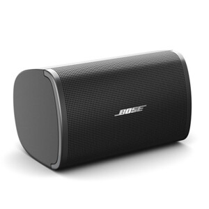 Loa Bose DesignMax-DM2S