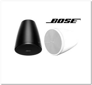 Loa Bose Designmax DM3P