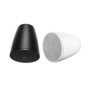 Loa Bose Designmax DM3P