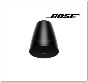 Loa Bose Designmax DM5P