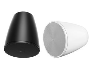 Loa Bose Designmax DM6PE