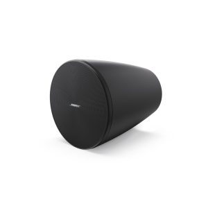Loa Bose Designmax DM6PE