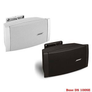 Loa Bose FreeSpace DS-100SE