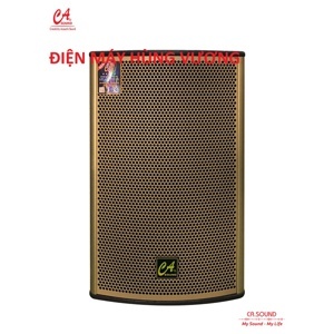 Loa CA Sound F-212